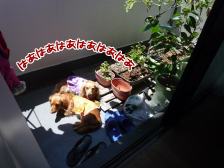 003_20120731224628.jpg