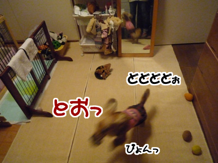 022_20110524225333.jpg