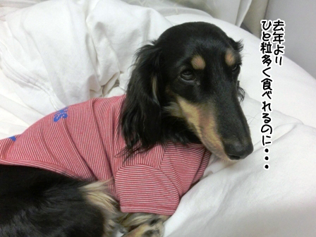 201602043.jpg