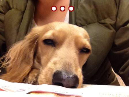 003_20120307234401.jpg