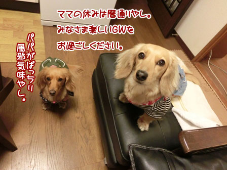 039_20130429223314.jpg