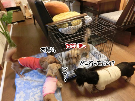 20151005006.jpg