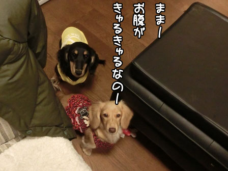 003_20131122002341a83.jpg
