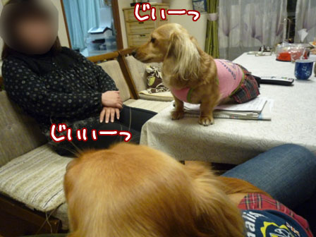 003_20111129210026.jpg