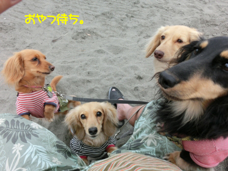 201606094.jpg