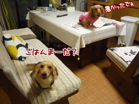 007_20111025223149.jpg