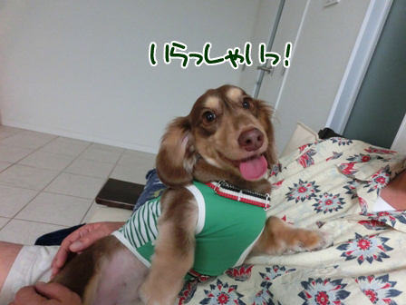002_20150624234638cbd.jpg