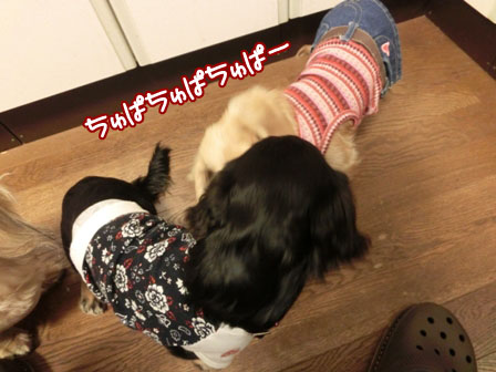 007_20131221001423cff.jpg
