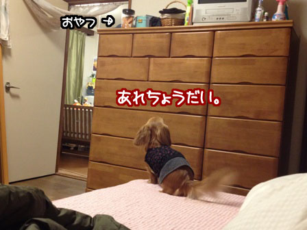 014_20120305211947.jpg
