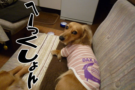 001_20120419215948.jpg