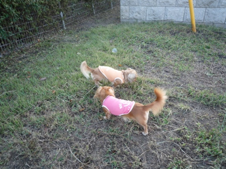 005_20110924004342.jpg