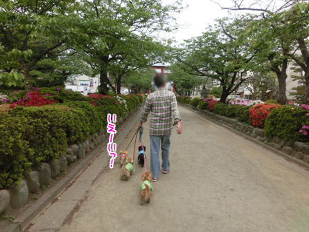 014_20140429213546f1c.jpg