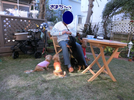 201511223.jpg