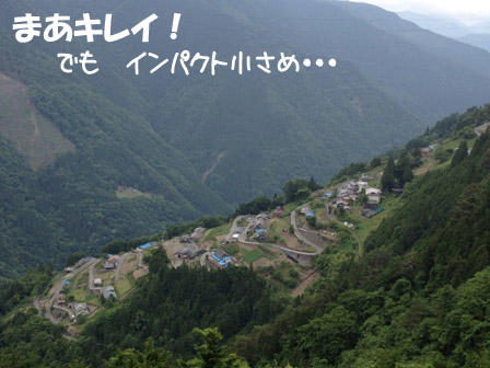 498.jpg