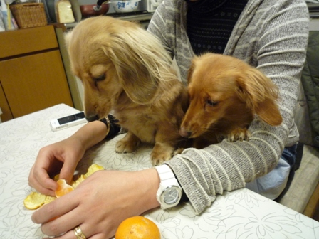 019_20120117224730.jpg
