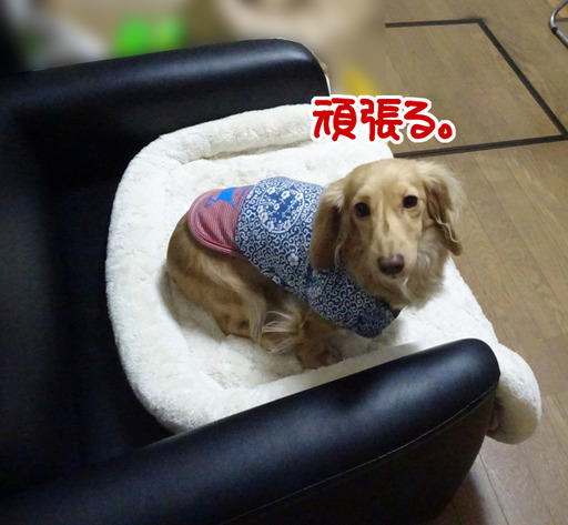 201612143