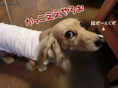 007_20121227004441.jpg