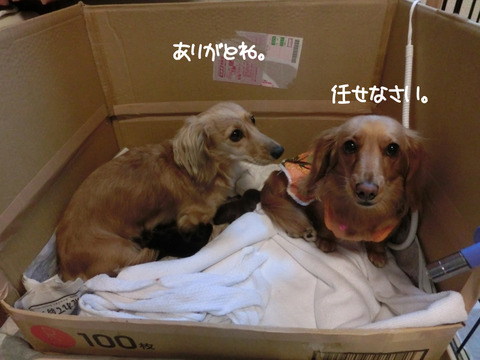 プロフィール05