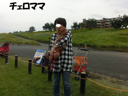 20151011035.jpg