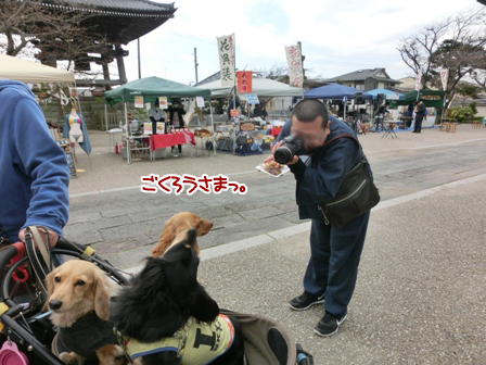 2016032706.jpg
