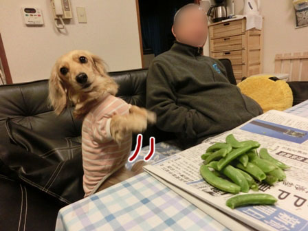 003_20130314234330.jpg