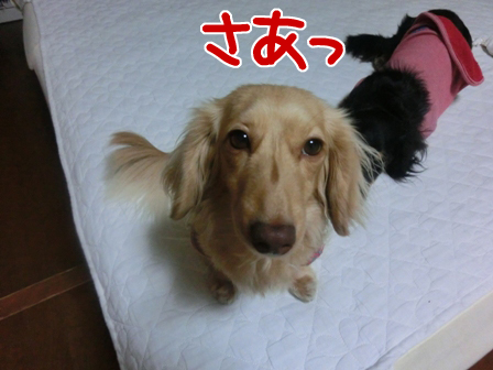201606163.jpg