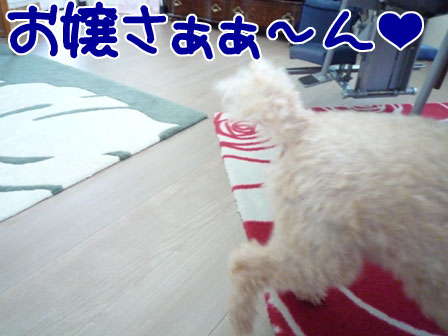 036_20110924235236.jpg