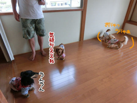 20160626.jpg