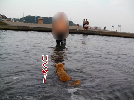 114 - コピー