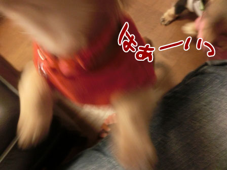 023_2013092523023771d.jpg