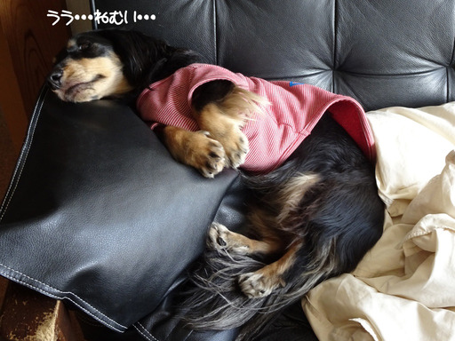201612131