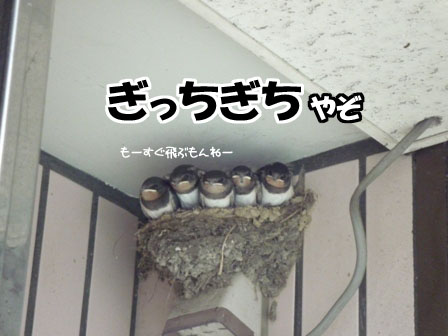 010_20110711234107.jpg