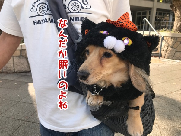 meruloco20181029-1