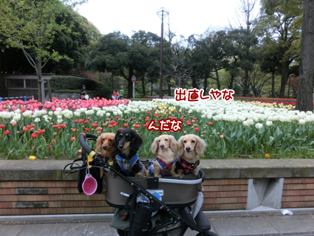 042_201504050141233e7.jpg