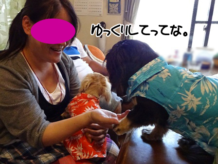 015_2015082320585166c.jpg
