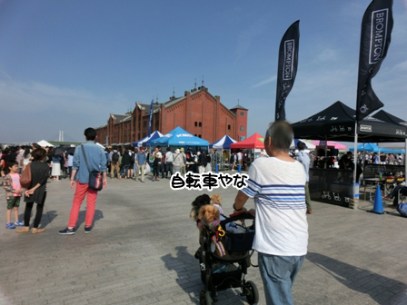2016051504.jpg