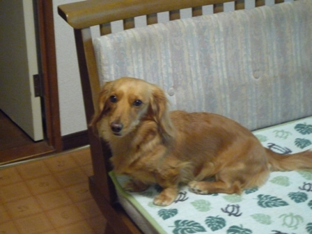 034_20110419224321.jpg