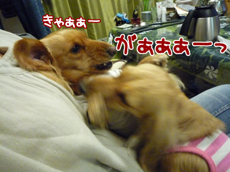 033_20110208215710.jpg