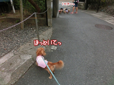 002_20140826213902cc3.jpg