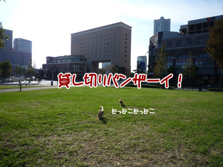 064_20110929233856.jpg