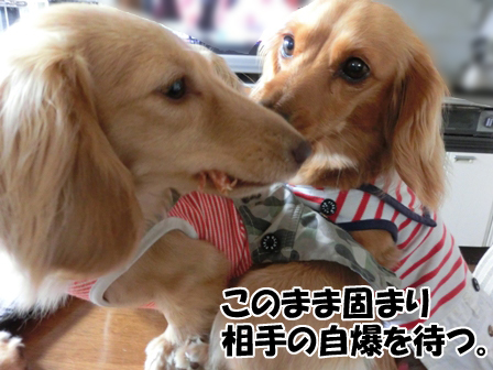 012_20150525234800a90.jpg