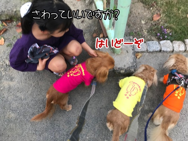 meruloco20181027-2