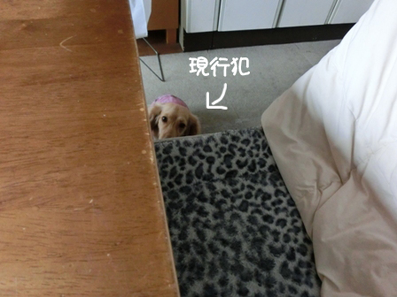 201606013.jpg