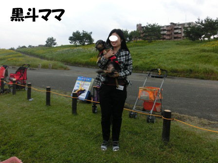 20151011026.jpg