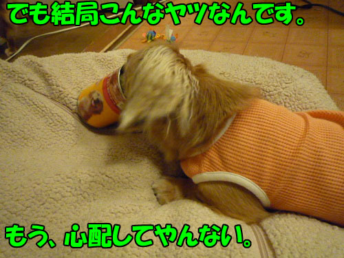 6688e889.jpg
