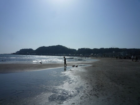006_20120429002241.jpg