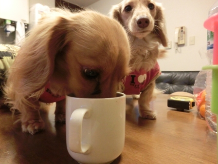 201602214.jpg