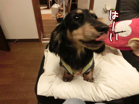 010_201406242257239b6.jpg
