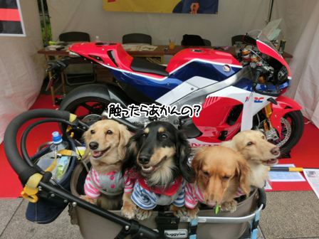 2016052908.jpg