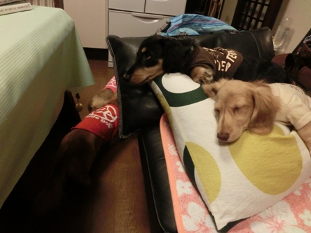 014_20131001015146919.jpg